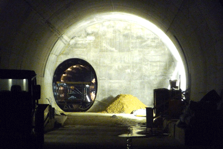 Tunnelbesichtigung Ost 2012